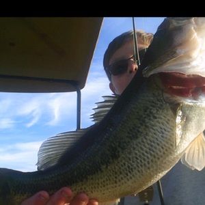 Meet your Posher, Ben